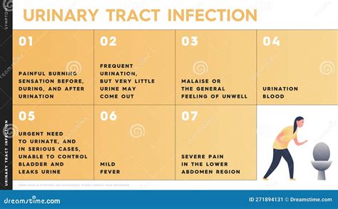 Vector Infographic Showing The Symptoms Of A Urinary Tract Infection A