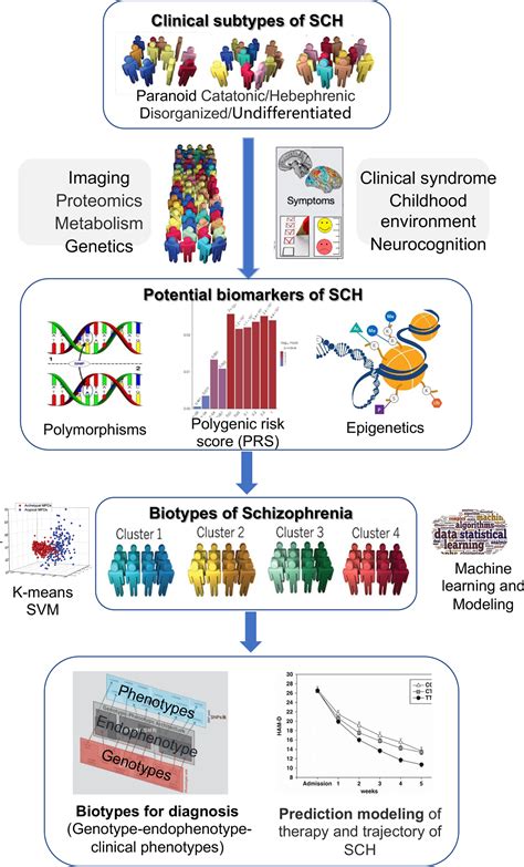 Potential Diagnostic Biomarkers For Schizophrenia