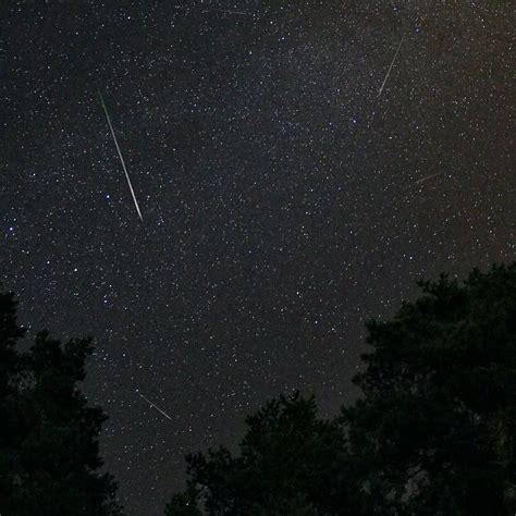 Chuva De Meteoros Perseidas Acontece Esta Semana DCI