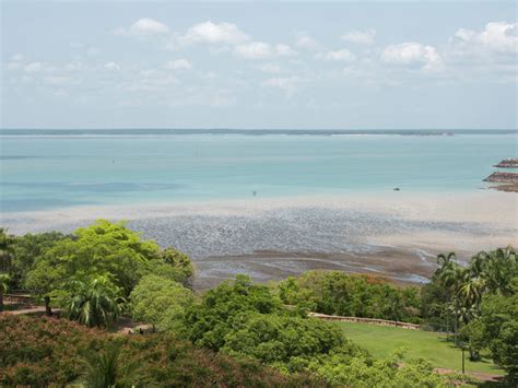 Your Ultimate Guide To The Tiwi Islands