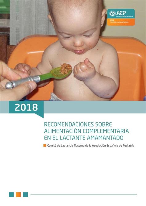 PDF RECOMENDACIONES SOBRE ALIMENTACIÓN COMPLEMENTARIA La