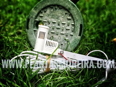 Plantas Moreira - ☔️¿Lloviendo y tú sistema de riego encendido?⛈