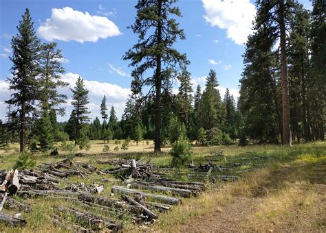 Malheur National Forest Northern Oregon Campsites