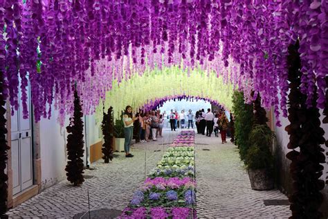 TOMAR Festa Dos Tabuleiros Ruas Populares Ornamentadas Em Filme De