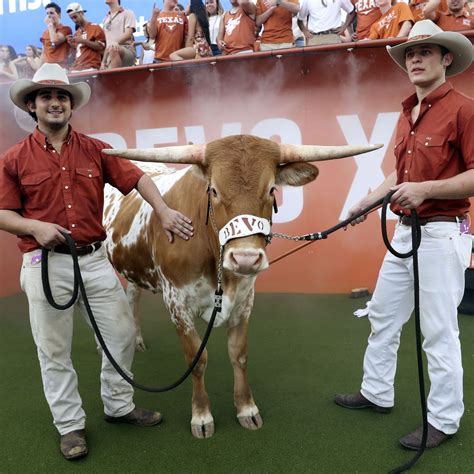 Bevo