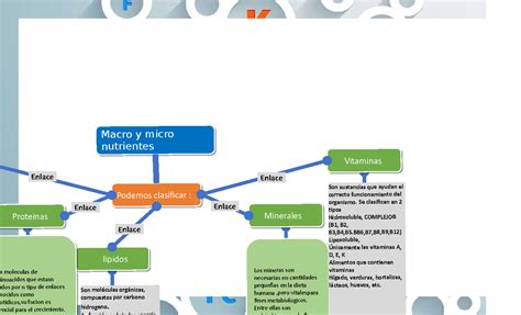 Mapa Conceptual Macro Y Micronutrientes Mike Flores Nutrientes Porn