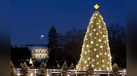 White House Christmas Tree Lighting 2024 Lottery - Tana Zorine