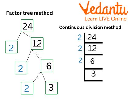 Prime Factorization By Division Method Learn And Solve Questions