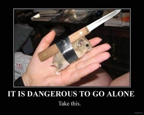 Image 714984 Its Dangerous To Go Alone Take This Know Your Meme