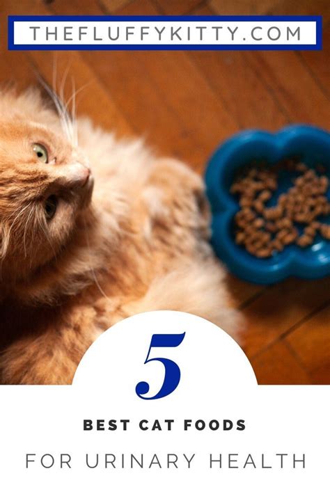 5 Best Cat Foods For Urinary Tract Health In Cats Guide By The Fluffy Kitty Thefluffykitty