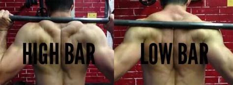 High Bar Vs Low Bar Squats Which Is Best For Strength And Hypertrophy