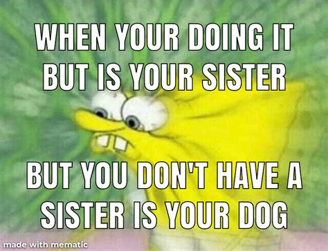 Best Stepbro Images On Pholder Goodanimemes Hol Up And Suddenly Gay