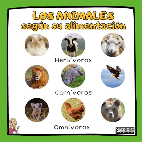 Qué son los animales Los animales