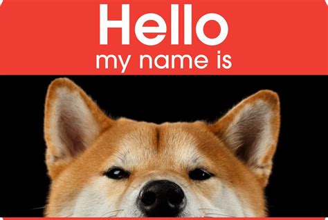 Shiba Inu Dog Names - My First Shiba Inu