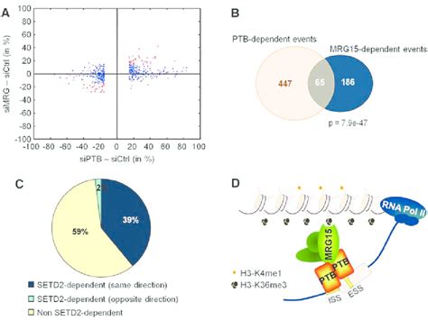 Genome Wide Identification Of SETD2 MRG15 And PTB Alternative