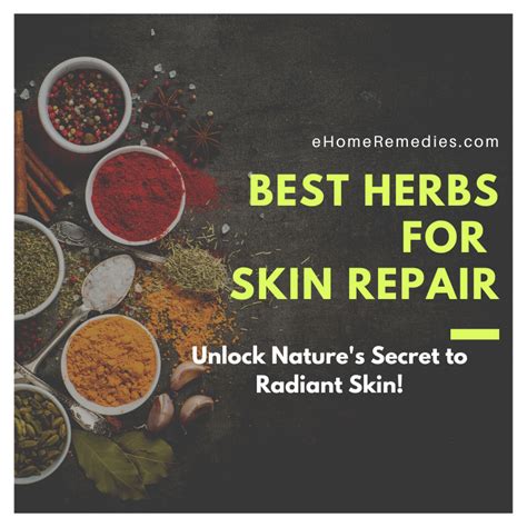 Best Herbs For Skin Repair Unlock Natures Secret To Radiant Skin