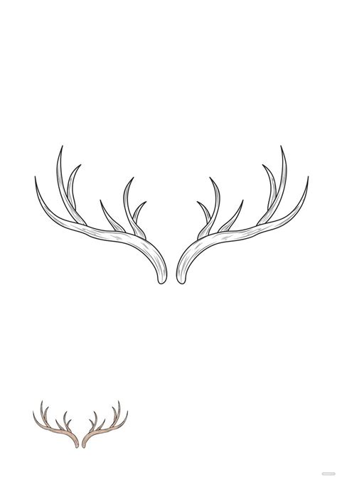 Reindeer Antlers Drawing