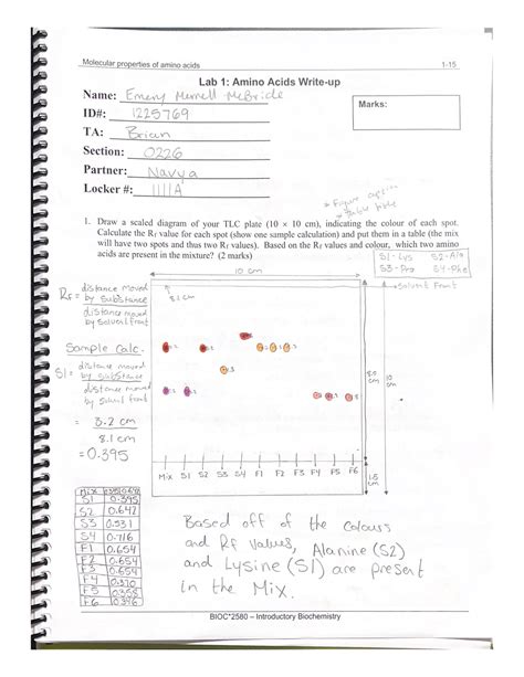 Molecular Properties Of Amino Acids Bioc 2580 Studocu