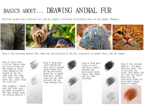 How to draw animal fur / basics about animal fur by BeckyKidus on ...