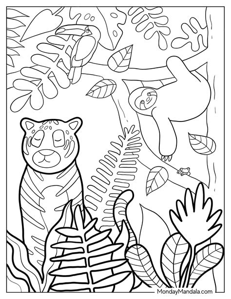 20 Jungle Coloring Pages (Free PDF Printables)