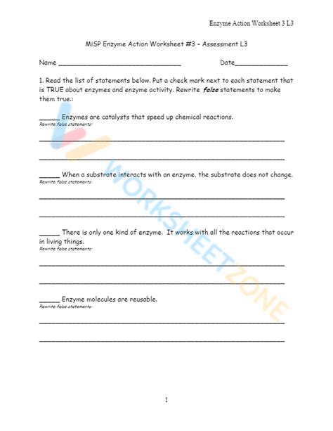 Free Printable Enzyme Worksheets For Students