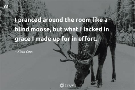 25 Moose Quotes About The Graceful Giant Of The North