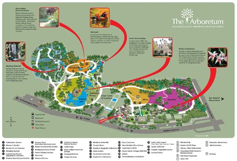 01 Los Angeles County Arboretum Botanic Garden Map Janet Davis