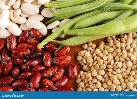 Various Types Of Beans Stock Photo Image Of Chick Plant 2775920