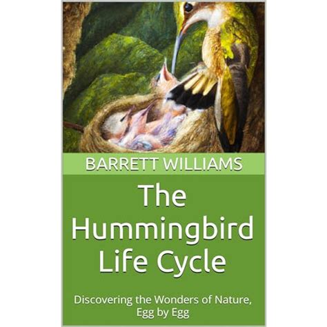 The Hummingbird Life Cycle Audiobook Free With Trial