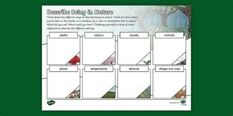 Nature Adjectives Worksheet Professor Feito Twinkl