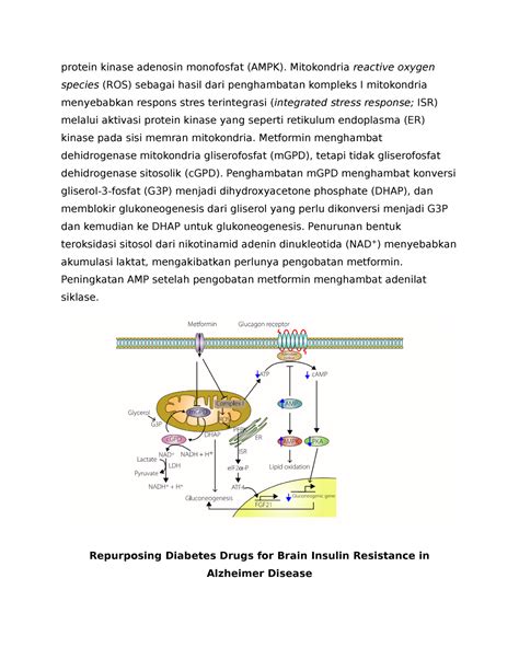 Mekanisme Molekuler Kerja OBAT PART 3 Protein Kinase Adenosin