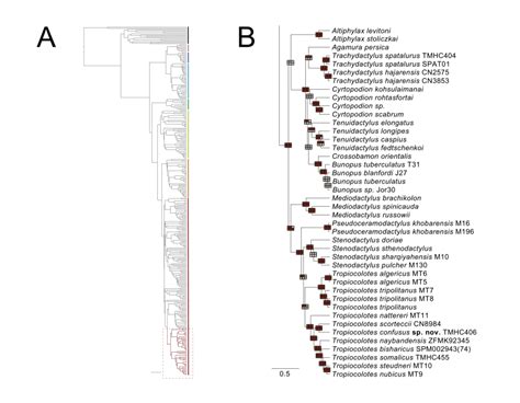 Bayesian Inference Tree With P Of Dataset Acm C Mos Rag Rag