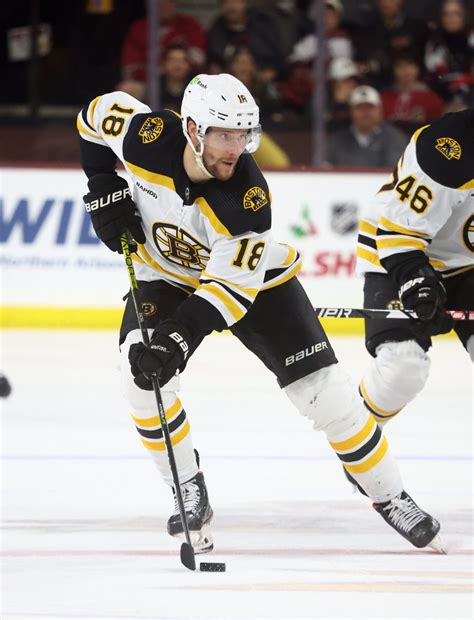 boston bruins extend pavel zacha pro hockey rumors