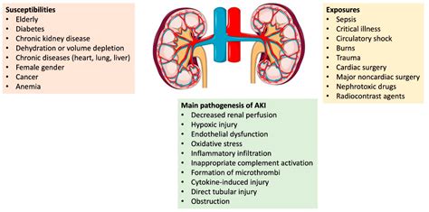 Jcm Free Full Text Acute Kidney Injury Medical Causes And Pathogenesis