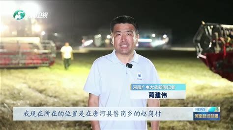 南阳：小麦收获超四成 抢收抢晒颗粒归仓｜“麦”向丰收唐河县种植河南省