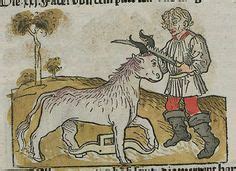 Bestiaria Latina Ideas Fables Latina Roman Calendar