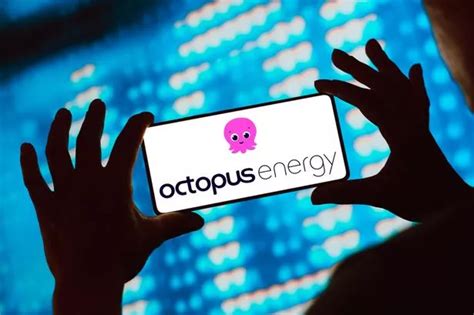 Octopus Energy Launches Buy Now Pay Later Scheme Plymouth Live