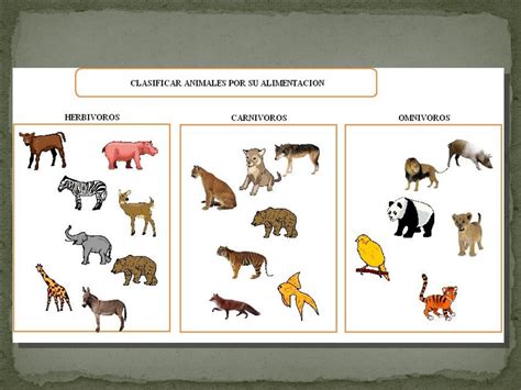 Clasificación de animales según su alimentación Quizizz