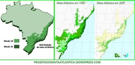 Onde É Localizado A Mata Atlântica - Mapa da Mata Atlântica