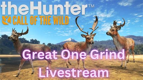 Showing Albinos Fallow Deer Great One Grind Thehunter Call Of The