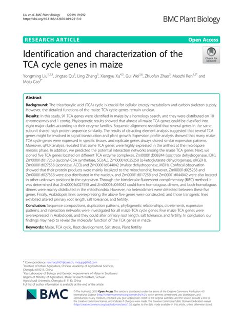 Pdf Identification And Characterization Of The Tca Cycle Genes In Maize