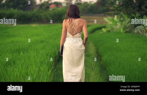 Attractive Woman In White Dress Walking Through Rice Field HD Stock