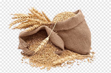 Cereal Rice Food Whole Grain Wheat Whole Grains Nutrition Oat Png