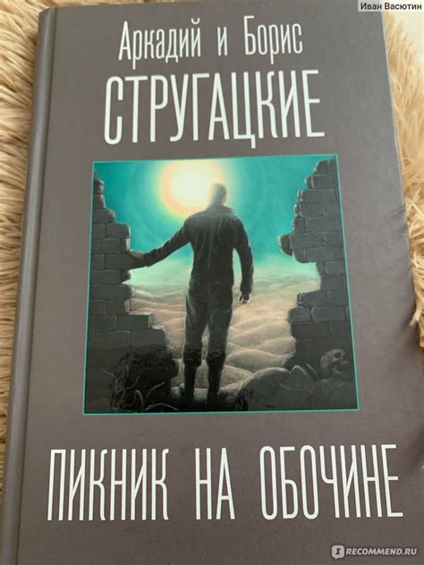 Пикник на обочине, Стругацкий Аркадий, Стругацкий Борис - «Одна из ...