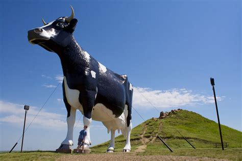 Roadside Attractions The Worlds Largest Holstein Cow Atlas Obscura