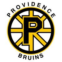 Providence Bruins vector logo