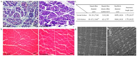 Ijms Free Full Text Integrative Analyses Of Mirna Mrna Interactions