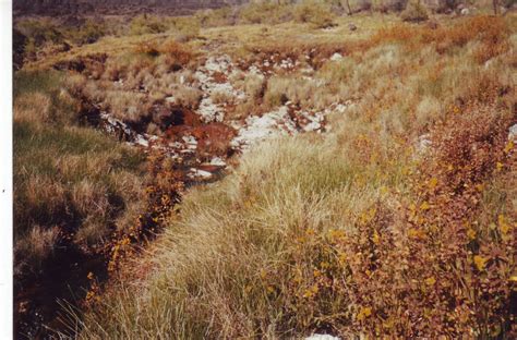 Fisher Hot Springs HotWaterSlaughter Hot Springs