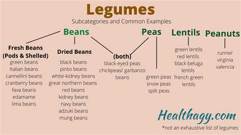 Beans Vs Legumes Whats The Difference And Nutrition Healthagy