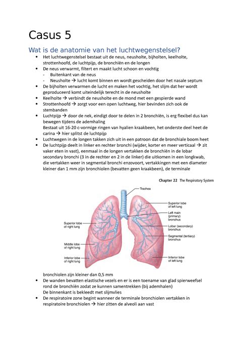 Casus 5 Samenvatting Circulatie En Ademhaling I Casus 5 Wat Is De